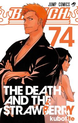 Cover for Bleach